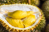 Durian fruits Exporters Supplier Sri Lanka LK Trading Lanka (Private) Limited
