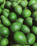 Avocado   - Sri Lankan Avocados Exporters Supplier Sri Lanka LK Trading Lanka (Private) Limited