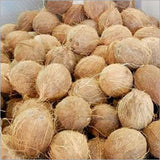 Fully Husked Coconut Exporters Supplier Sri Lanka LK Trading Lanka (Private) Limited