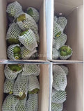 Fresh Soursop Guanabana Graviola Guanabana Annona  guyabano  guanábana Tropical Fruit Sri Lanka Exporters Supplier Sri Lanka LK Trading Lanka (Private) Limited