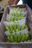 Fresh Banana  (Sweet banana, Sour banana) Exporters Supplier Sri Lanka LK Trading Lanka (Private) Limited