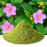 Dehydrated Heen bovitiya Leaves powder tea bags Exporters Supplier Sri Lanka LK Trading Lanka (Private) Limited