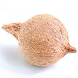 Semi Husked Coconut Exporters Supplier Sri Lanka LK Trading Lanka (Private) Limited
