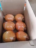 Orange Color Sweet Fresh Tender King Coconut Exporters Supplier Sri Lanka LK Trading Lanka (Private) Limited