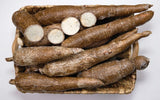 Tapioca Cassava Exporters Supplier Sri Lanka LK Trading Lanka (Private) Limited