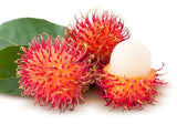 Rambutan Exporters Supplier Sri Lanka LK Trading Lanka (Private) Limited