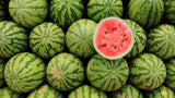 Watermelon Exporters Supplier Sri Lanka LK Trading Lanka (Private) Limited