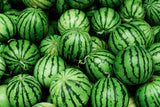 Watermelon Exporters Supplier Sri Lanka LK Trading Lanka (Private) Limited