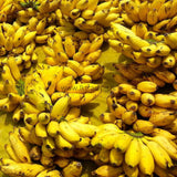 Fresh Banana  (Sweet banana, Sour banana) Exporters Supplier Sri Lanka LK Trading Lanka (Private) Limited
