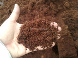 Coconut Coir Pith Coco husk Peat Blocks Bricks briquet Exporters Supplier Sri Lanka LK Trading Lanka (Private) Limited